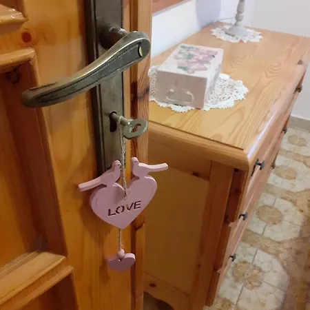 Rosa *